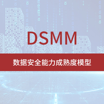 DSMM數(shù)據(jù)安全能力成熟度模型