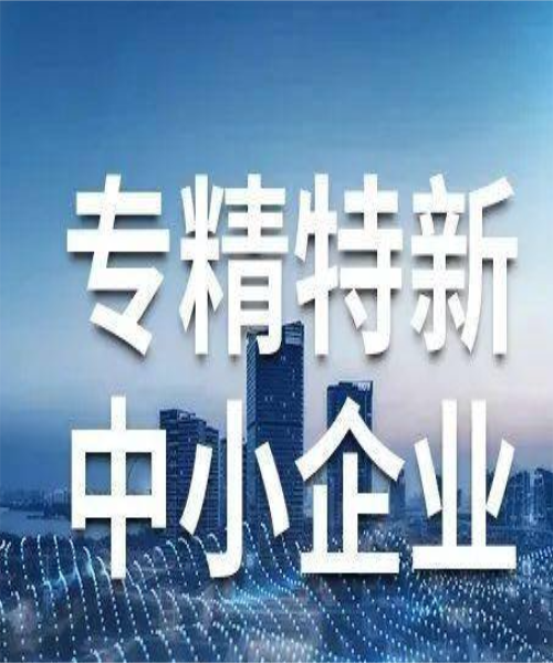 專精特新中小企業認定方式和標準